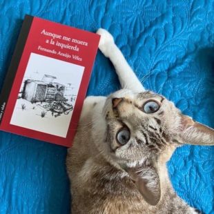 “La lucha de antes era por toda la humanidad”: Fernando Araújo Vélez