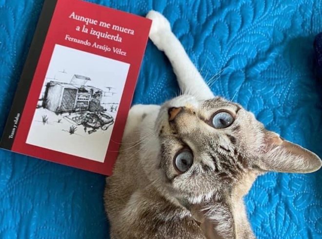 “La lucha de antes era por toda la humanidad”: Fernando Araújo Vélez