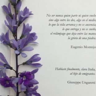 Lucía Donadío: “Los secretos nos marcan, mucho más que las verdades”