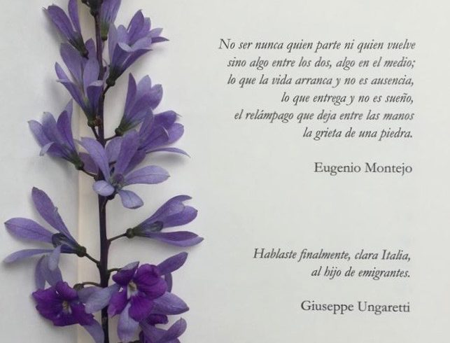 Lucía Donadío: “Los secretos nos marcan, mucho más que las verdades”