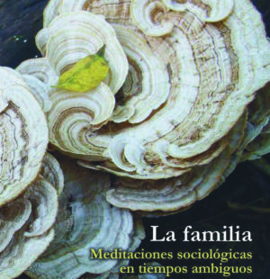 La familia Meditaciones sociológicas en tiempos ambiguos
