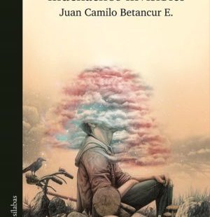 La sociedad de los muchachos invisibles