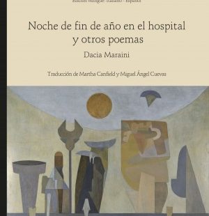 Noche de fin de año en el hospital y otros poemas