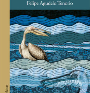 El vuelo negro del pelícano