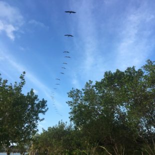 En sus propias palabras