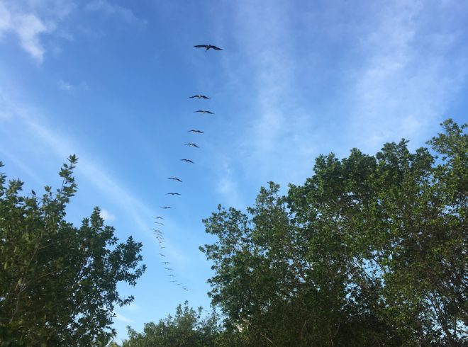 En sus propias palabras