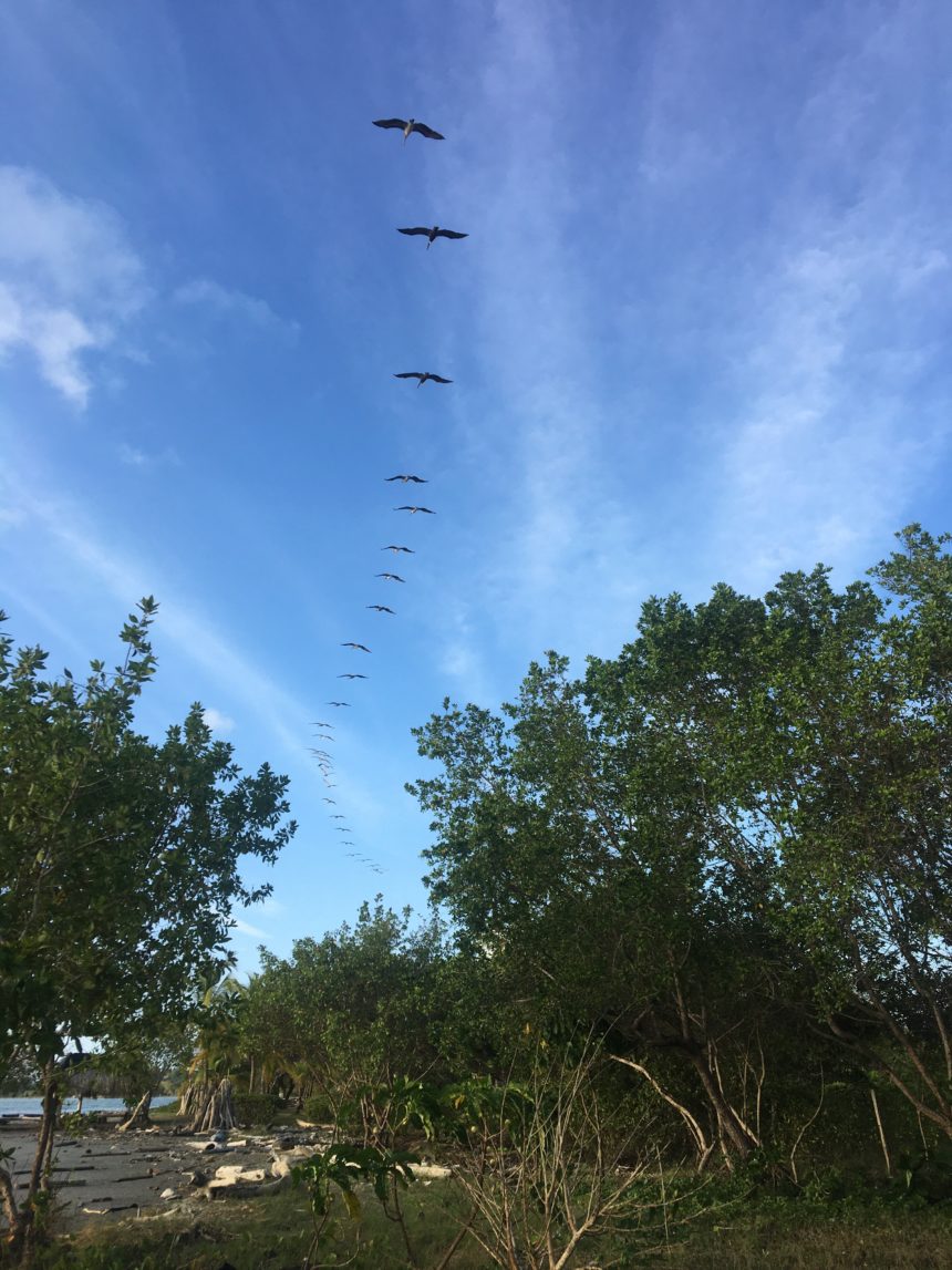 En sus propias palabras