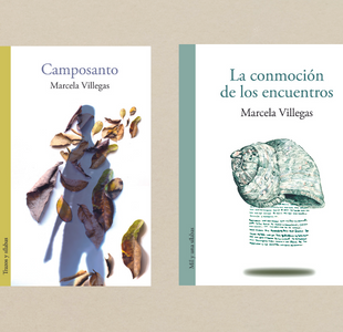 Marcela Villegas: vida, obra y muerte digna