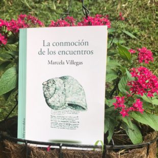 La conmoción de los encuentros, de Marcela Villegas