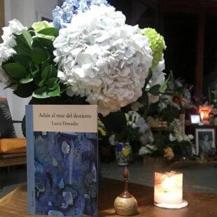 Partir para hacer la América