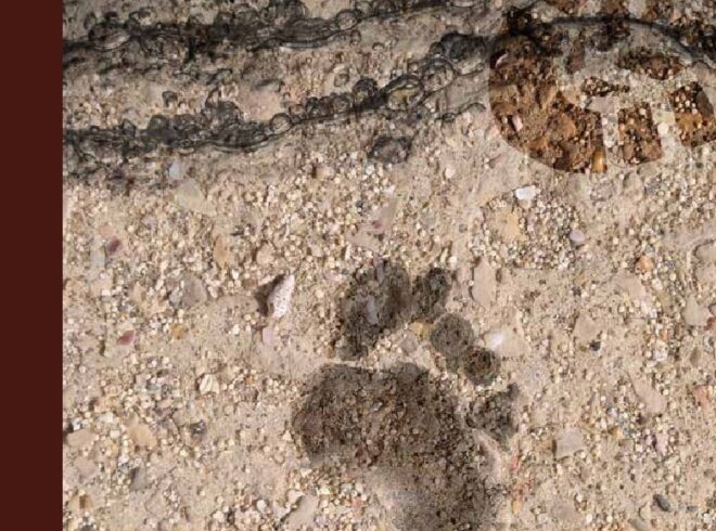 Escriben los lectores