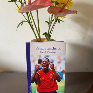 La fiesta del fútbol