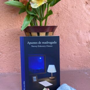 Reseña Apuntes de madrugada