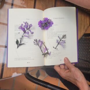 La editorial antioqueña Sílaba Editores (Colombia, 2009) privilegia en su catálogo la belleza en formas y contenidos en busca de libros que perduren en el tiempo por su aporte de calidad.