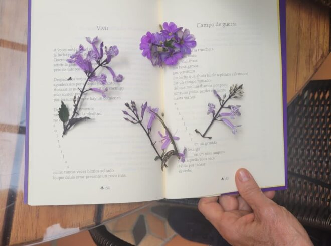 La editorial antioqueña Sílaba Editores (Colombia, 2009) privilegia en su catálogo la belleza en formas y contenidos en busca de libros que perduren en el tiempo por su aporte de calidad.