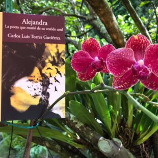 Escriben los lectores