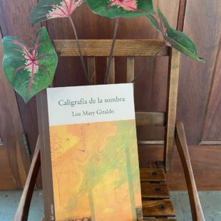 Desatar la lengua: reseña del libro ‘Caligrafía de la sombra’ de Luz Mary Giraldo