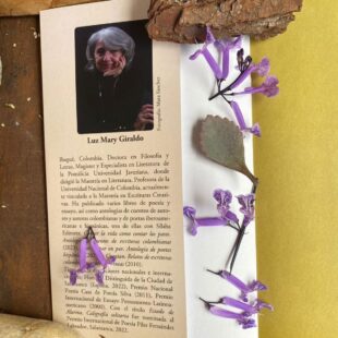 Una poesía de conciencia del desastre: entrevista a Luz Mary Giraldo