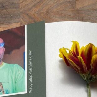 Las plantas narran lo que la ciudad ignora