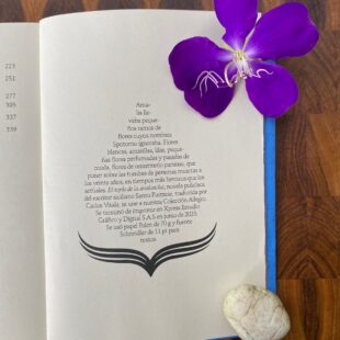 Escribe el editor de El professor