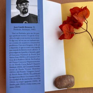 La arquitectura de lo provinciano: Una lectura de Elibrerto