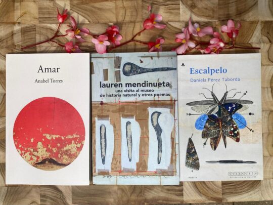 Jardín 2: Constelación de poetas