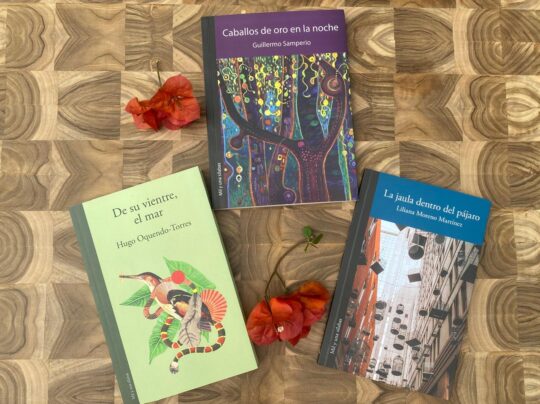 Jardín 4: Territorios del relato